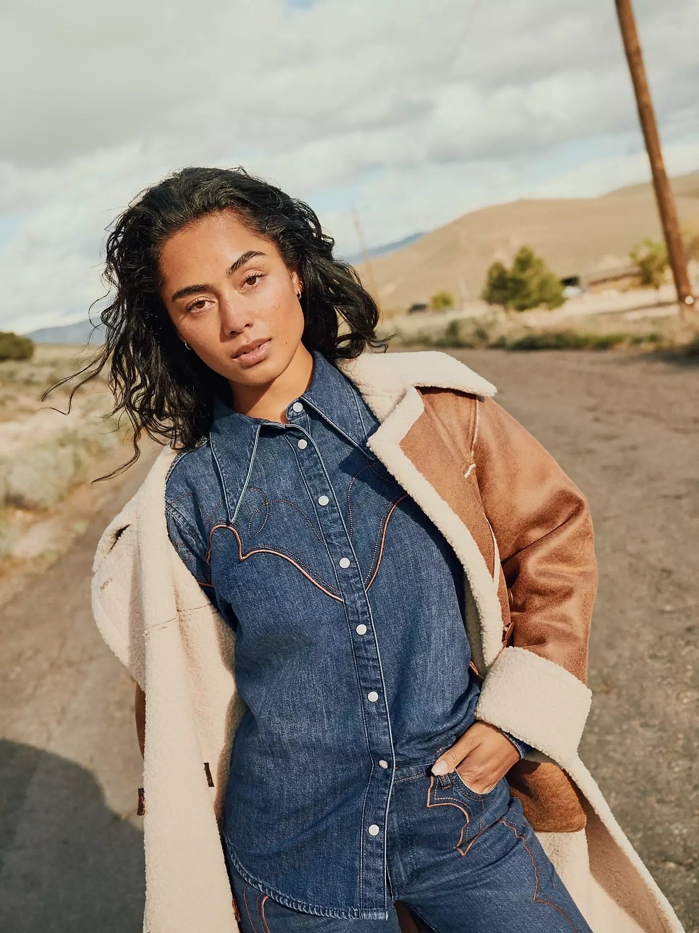 Regular Western Yoke Shirt