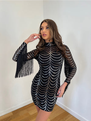 Fringe Sequin Dress